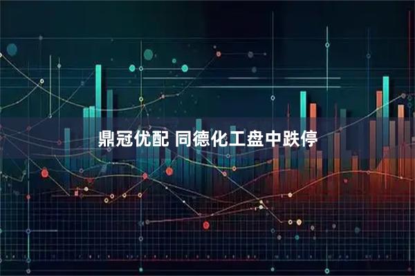 鼎冠优配 同德化工盘中跌停
