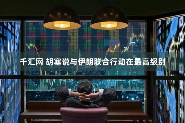 千汇网 胡塞说与伊朗联合行动在最高级别